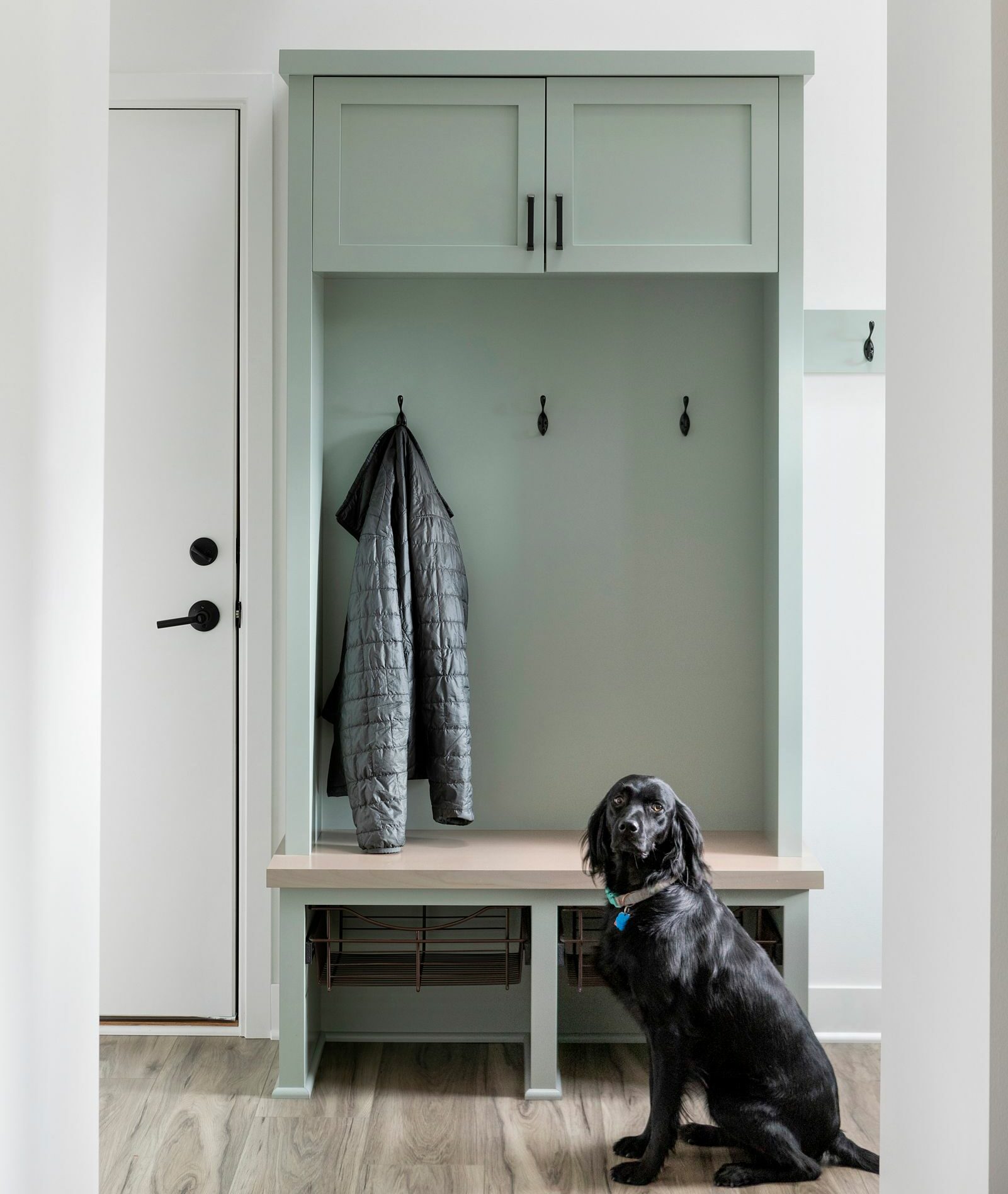 Front entry/mudroom remodel with bench and brown dog.